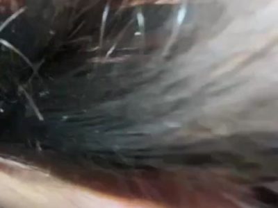 Ghệ yêu vú to dâm đãng ti hồng ngại ngùng cưỡi ngựa