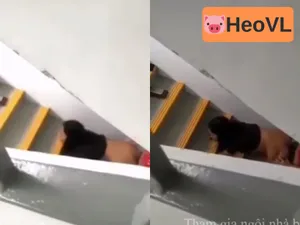 Quay lén cặp đôi giã nhau dưới cầu thang cực phê