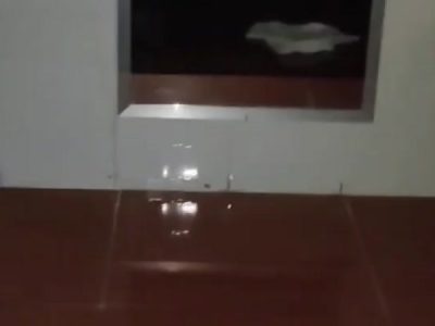 Chơi từ phía sau con em sinh viên ngọt nước mới lớn