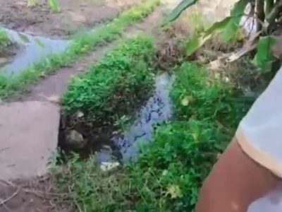 Vụng trộm cùng trai khờ trong bụi chuối quá nứng