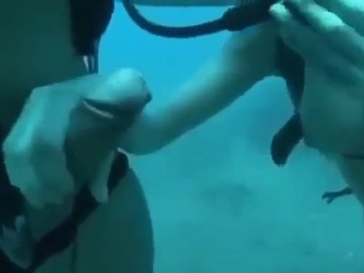 Nghịch vú gái đụ nhau dưới nước phê đỉnh của chóp